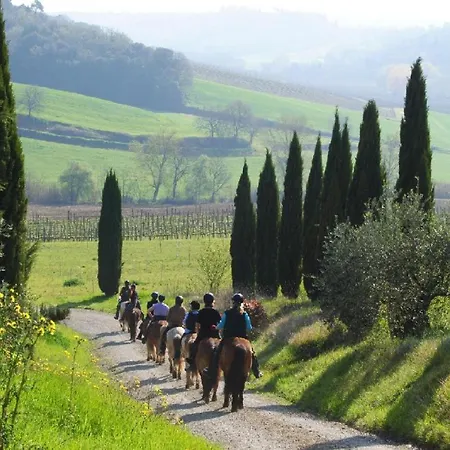 Castello Di Fulignano Ildebrando Superior * San Gimignano